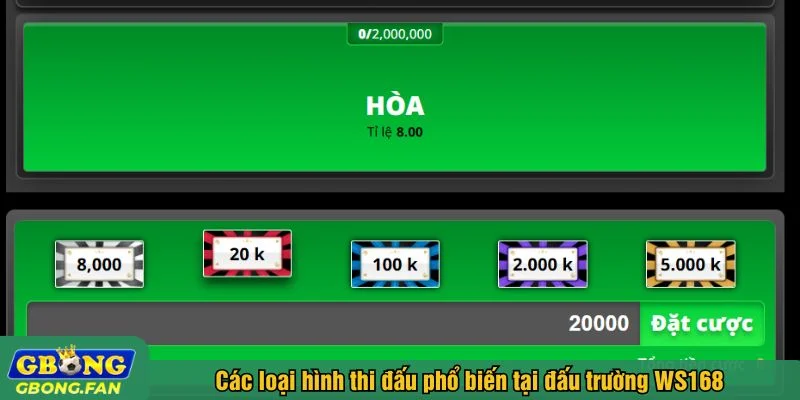 Bet thủ nhiều lựa chọn cược vào các hình thức đấu khác nhau