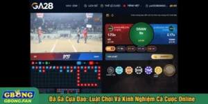 Đá gà cựa dao