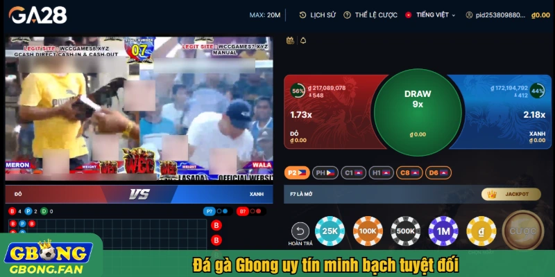 Đá gà Gbong uy tín minh bạch tuyệt đối