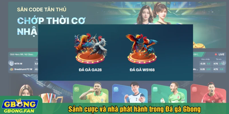 Đá gà Gbong