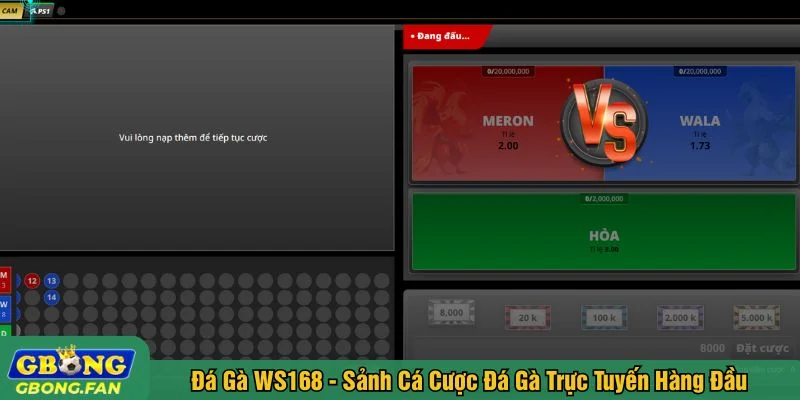 Đá gà WS168