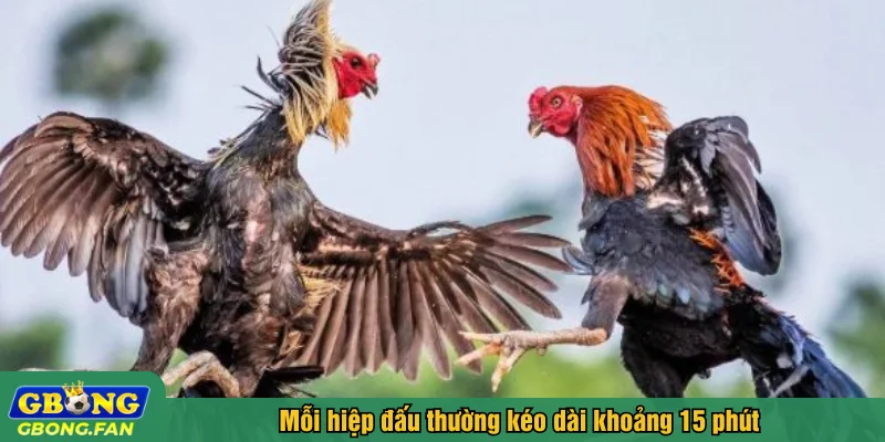 Mỗi hiệp đấu thường kéo dài khoảng 15 phút