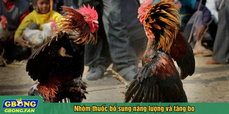 Nhóm thuốc bổ sung năng lượng và tăng bo