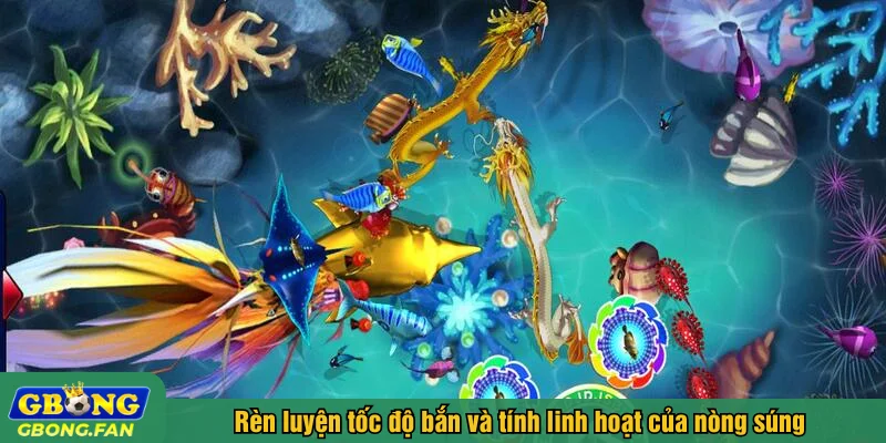 Rèn luyện tốc độ bắn và tính linh hoạt của nòng súng