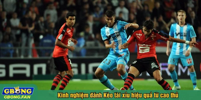 Theo dõi trận đấu để bắt kèo chuẩn