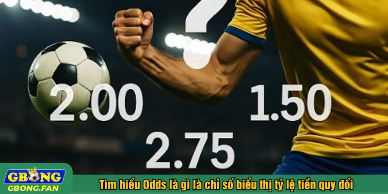Tìm hiểu Odds là gì là chỉ số biểu thị tỷ lệ tiền quy đổi
