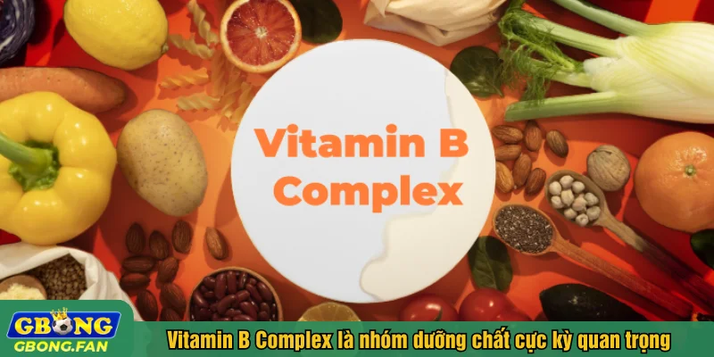 Vitamin B Complex là nhóm dưỡng chất cực kỳ quan trọng