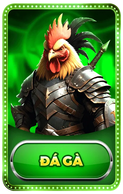 Đá gà Gbong