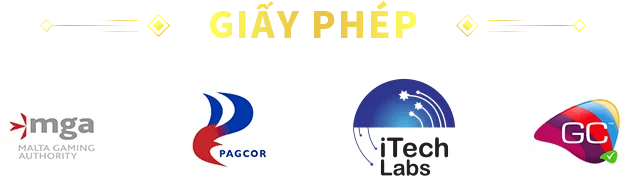 Giấy phép