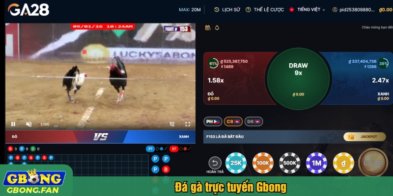 Đá gà trực tuyến Gbong